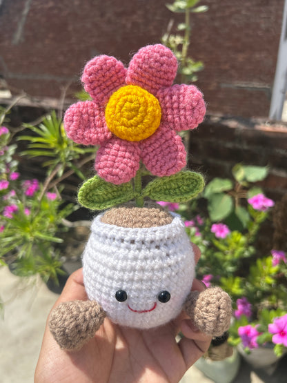 Bloomie