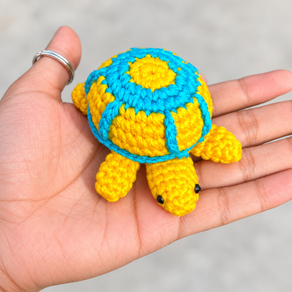 Turtle Bloom